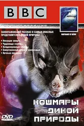 BBC: Кошмары дикой природы 1995 постер
