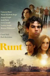 Runt 2020 постер