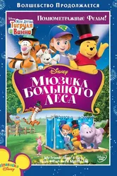 Мои друзья Тигруля и Винни: Мюзикл Большого леса 2009 постер