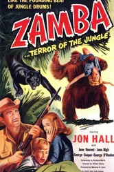 Zamba постер