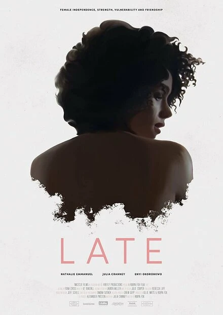 Постер Late 2018