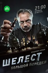 Шелест. Большой передел 2017 постер
