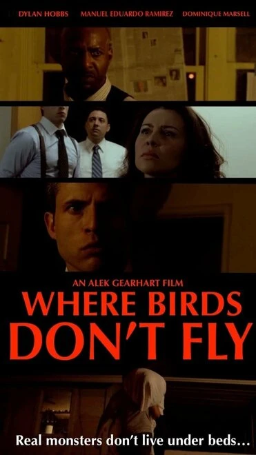 Постер Where Birds Don't Fly