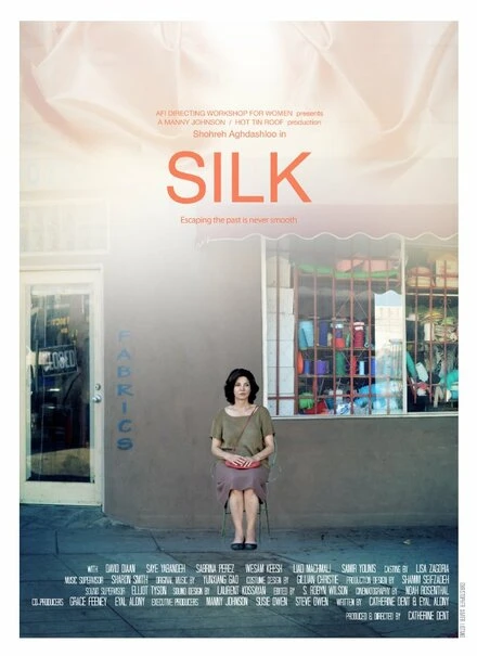 Постер Silk 2013