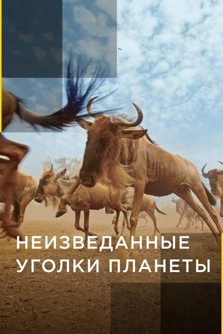 Постер Неизведанные уголки планеты 2014