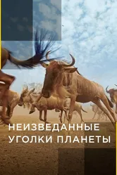 Неизведанные уголки планеты 2014 постер