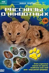 Рассказы о животных 2008 постер