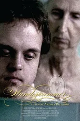 Wunderkammer постер