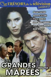 Большие приливы 1993 постер