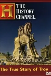 The True Story of Troy постер