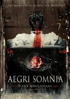 Постер Aegri Somnia