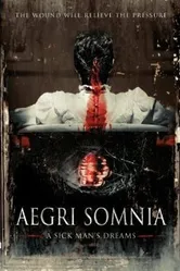 Aegri Somnia постер