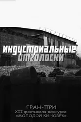 Индустриальные отголоски 2016 постер