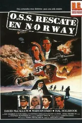 В тылу врага 1985 постер