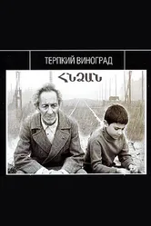 Терпкий виноград 1973 постер