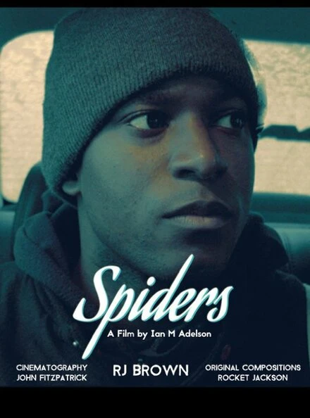 Постер Spiders 2016