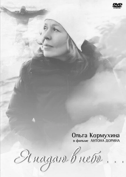 Постер Я падаю в небо 2007
