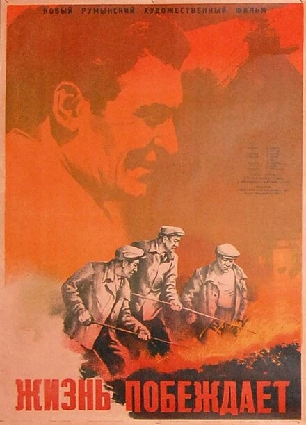 Постер Жизнь побеждает 1951