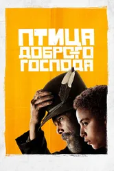 Птица доброго господа 2020 постер