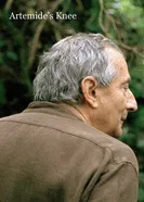 Колено Артемиды 2008 постер