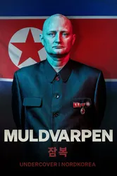 Крот: Под прикрытием в Северной Корее 2020 постер