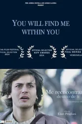 Me Reencontrara's Dentro De Ti постер