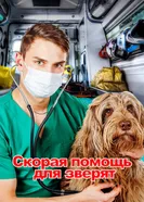 Скорая помощь для зверят постер