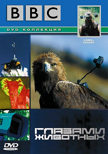 Постер BBC: Глазами животных 2004