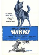 Дикий пес Севера 1961 постер