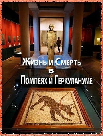 Постер Жизнь и смерть в Помпеях и Геркулануме 2013