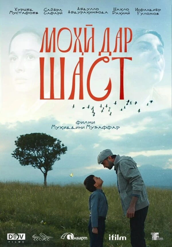 Постер фильма
