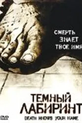 Темный лабиринт 2007 постер