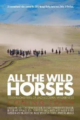 All the Wild Horses постер