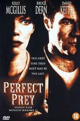 Идеальная жертва 1998 постер
