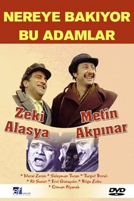 Постер Nereye Bakiyor Bu Adamlar
