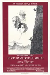 Пять дней лета 1982 постер