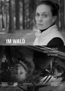 In The Woods постер