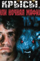 Крысы, или ночная мафия 1991 постер