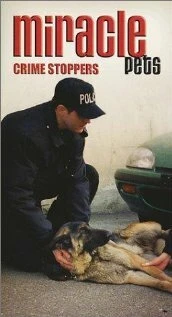 Постер Animal Miracles