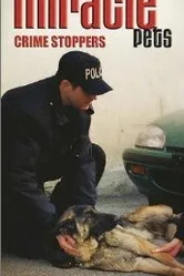 Animal Miracles постер