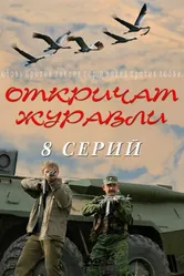 Откричат журавли 2009 постер