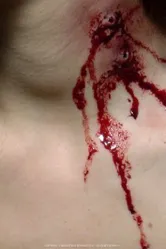 Blood + Roses постер