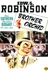 Брат «Орхидея» 1940 постер