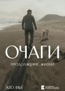Очаги. Продолжение. Жизни постер