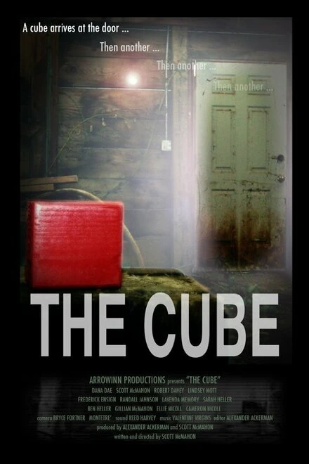 Постер The Cube 2013, США