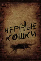 Черные кошки 2013 постер