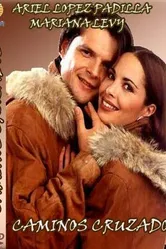Перекрестки 1994 постер