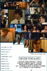 Never Too Late 2011 постер