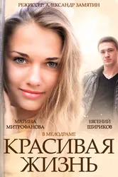 Красивая жизнь 2014 постер