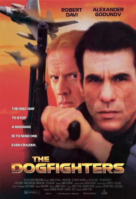 Постер Зона 1995, США